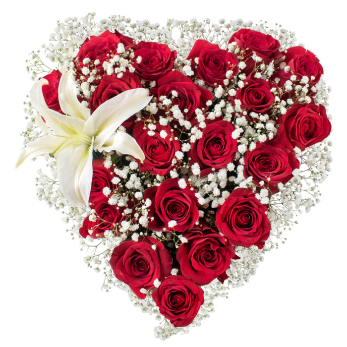 A meticulously arranged heart of flowers sits centered on a bright white background, its form defined by a dense congregation of deep crimson roses whose petals unfurl in varied stages from tight, blushing buds to fully opened cups. The roses' velvety texture and saturated red tones create the heart's core and contour, while delicate sprays of white baby's breath (Gypsophila) are woven throughout, producing a soft, cloud-like lace that both highlights and cushions the larger blooms. In the upper left curve a solitary white lily asserts itself with elegant simplicity - broad, immaculate petals radiating from a softly yellow center where golden stamens lend a subtle sunlit accent. The interplay of textures is deliberate: the plush depth of rose petals, the featherlight filigree of gypsophila, and the lily's sleek, almost satin surface combine to make the arrangement feel luxurious yet tender. The clean background removes any distraction so the viewer's eye travels the heart's edge, noting the florist's careful placement and the bouquet's quiet symmetry. The overall mood is one of solemn romance and refined affection - a floral statement suitable for intimate anniversaries, a refined Valentine's surprise, or a respectful tribute - imagined as fitting for delivery to a stylish Shoreditch flat near Hoxton Square or left at the door of a favourite café on Redchurch Street. The scent you can almost sense is a mellow rose warmth brightened by the lily's clean, green clarity.